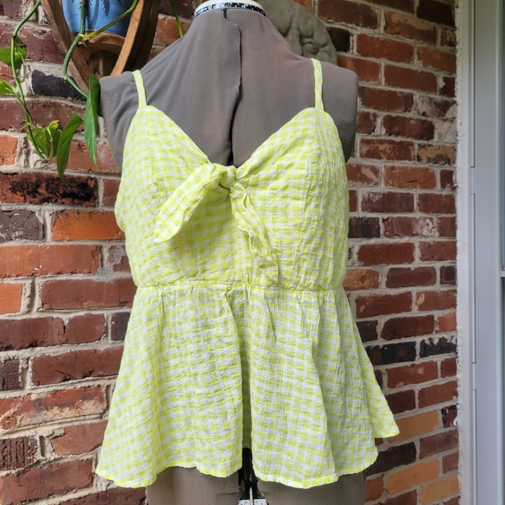 Torrid Smocked Tank